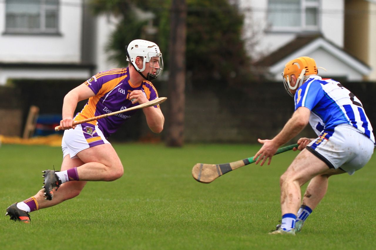 AHL1 vs Ballyboden St Endas