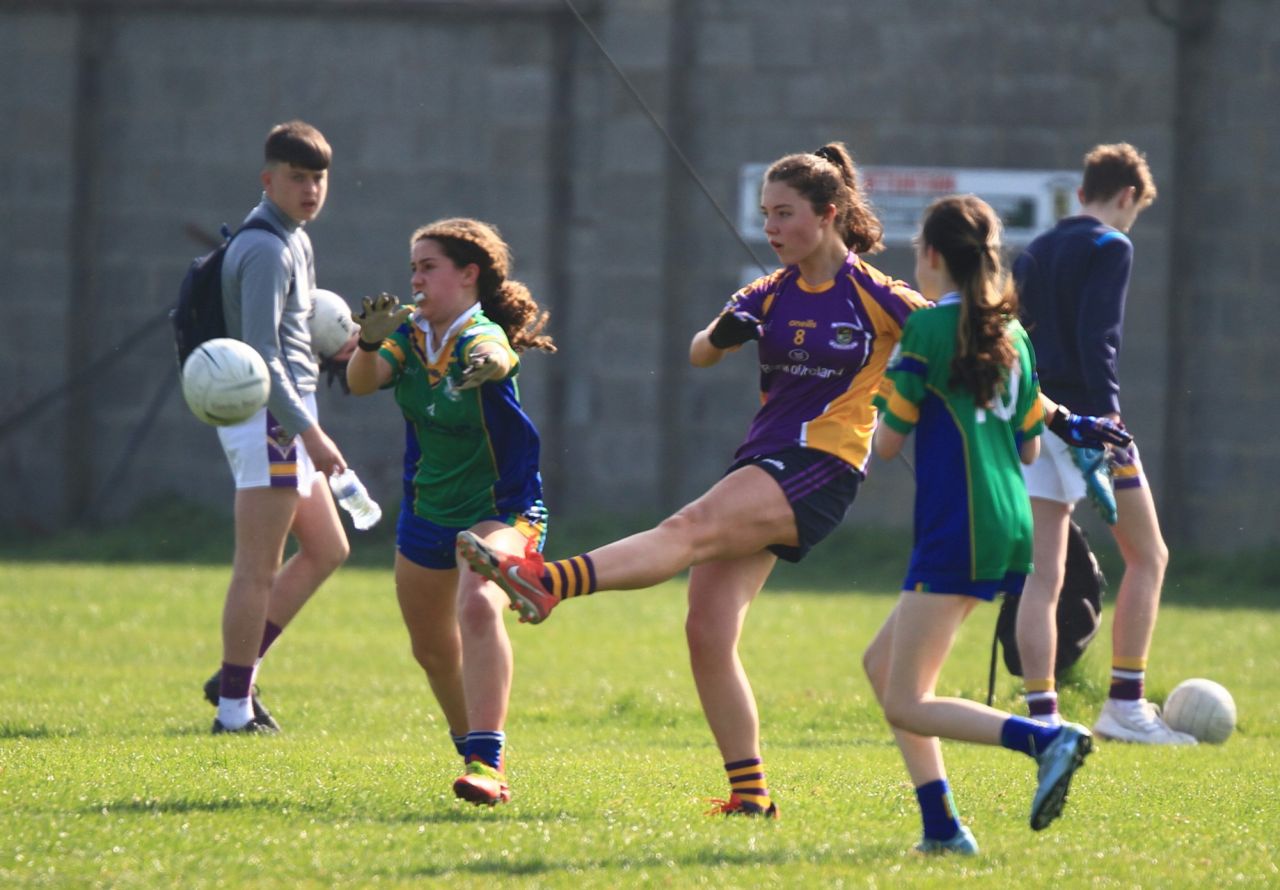 U15 Ladies Football vs Clanna Gael /Fontenroy