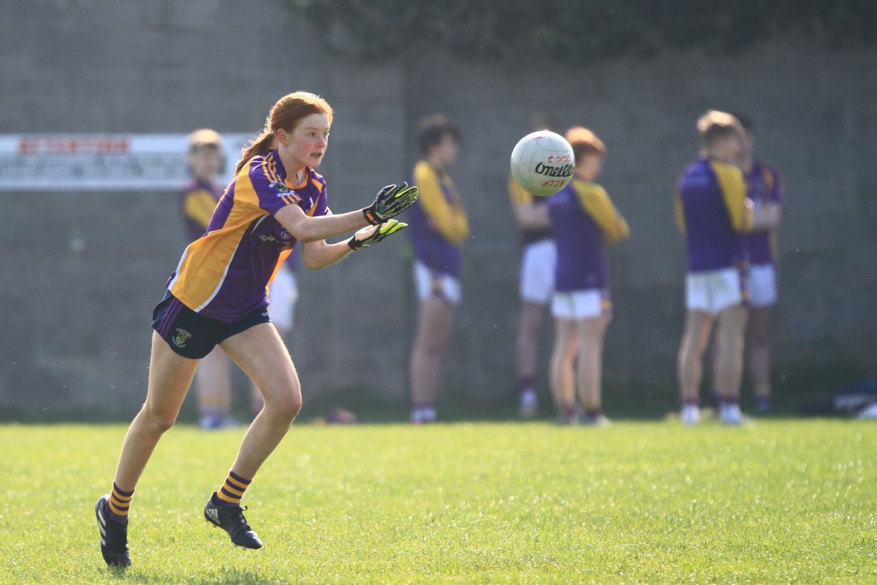 U15 Ladies Football vs Clanna Gael /Fontenroy