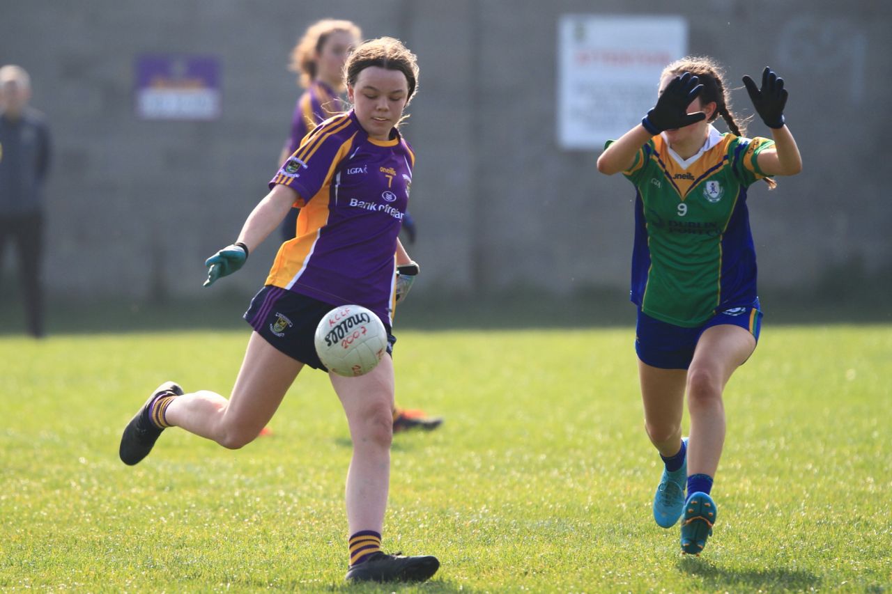 U15 Ladies Football vs Clanna Gael /Fontenroy