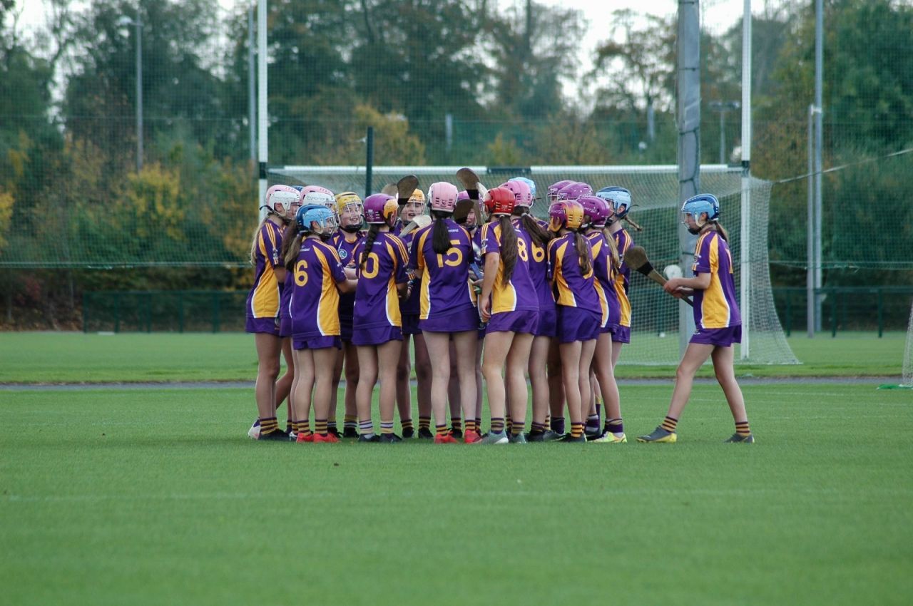 TEAM SPOTLIGHT - 2008 Under 14 Camogie