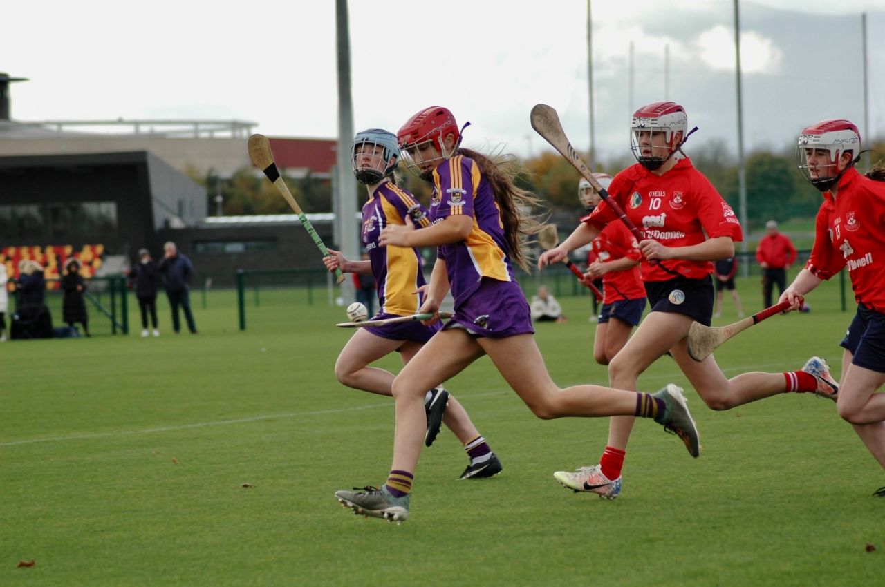 TEAM SPOTLIGHT - 2008 Under 14 Camogie