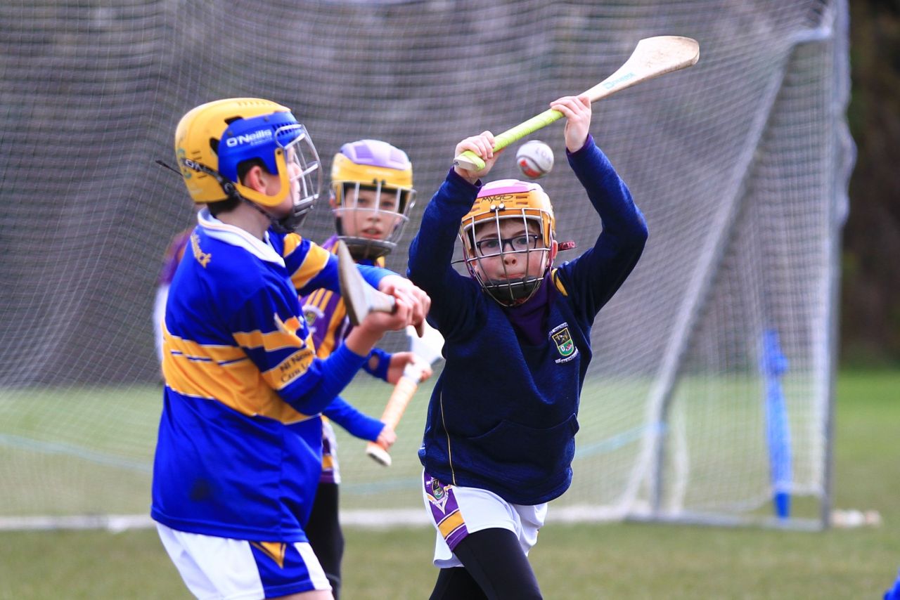 U12 Hurling Grp. 3 vs Castleknock