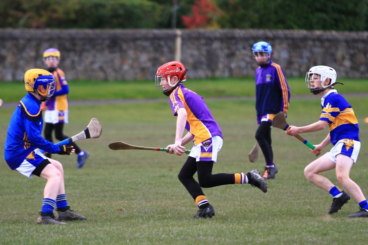 U12 Hurling Grp. 3 vs Castleknock