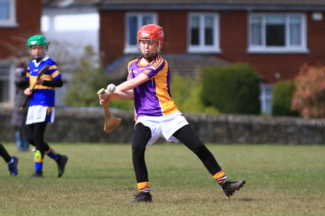 U12 Hurling Grp. 3 vs Castleknock