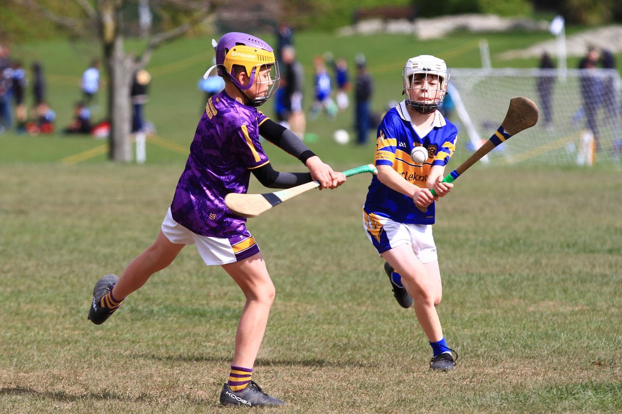 U12 Hurling Grp. 3 vs Castleknock