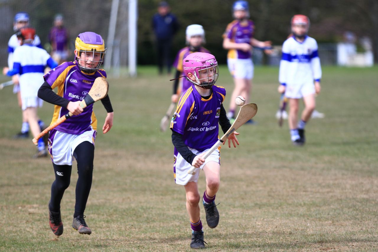 U12 Hurling A Grading Gp.1 vs St Vincents