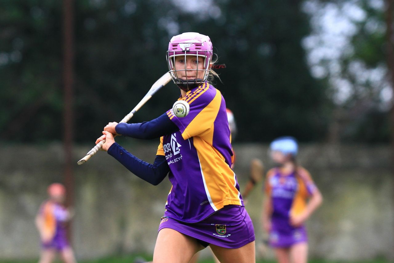 U18 Camogie A vs Clontarf