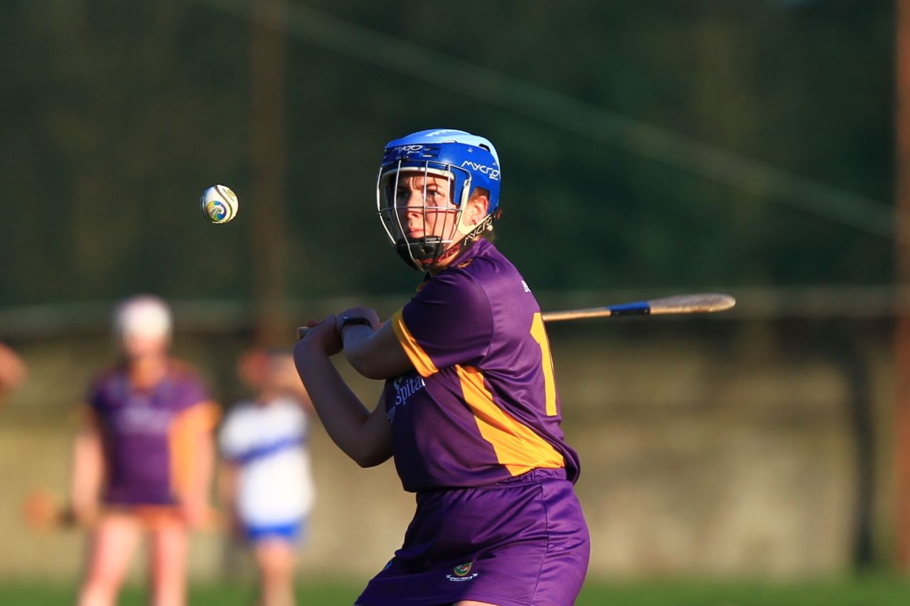 Senior Camogie Team vs St Vincents