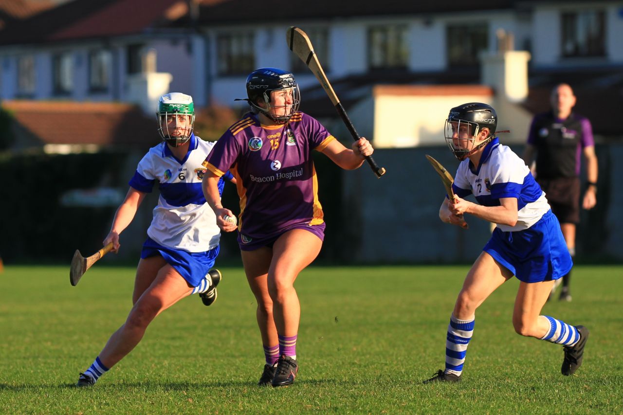 Senior Camogie Team vs St Vincents