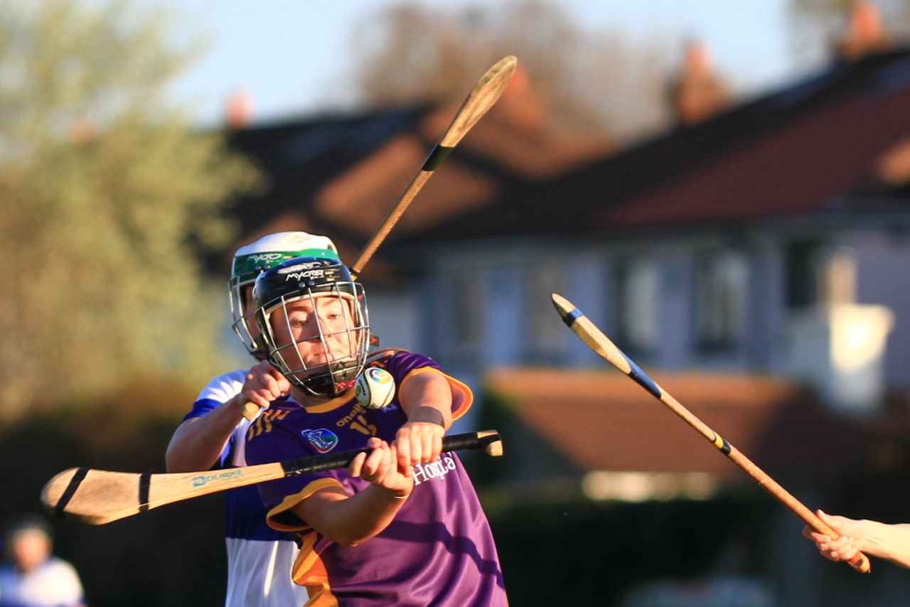 Senior Camogie Team vs St Vincents