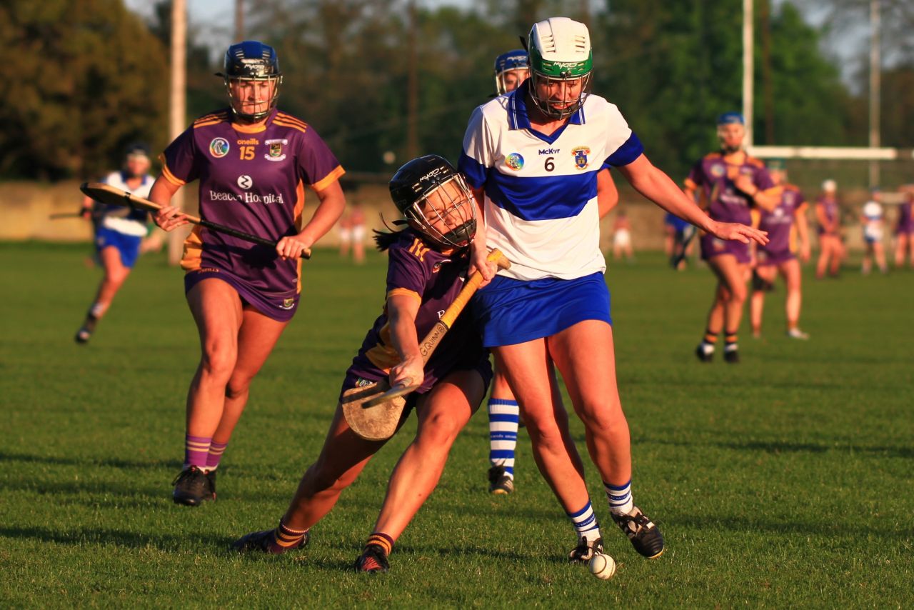 Senior Camogie Team vs St Vincents