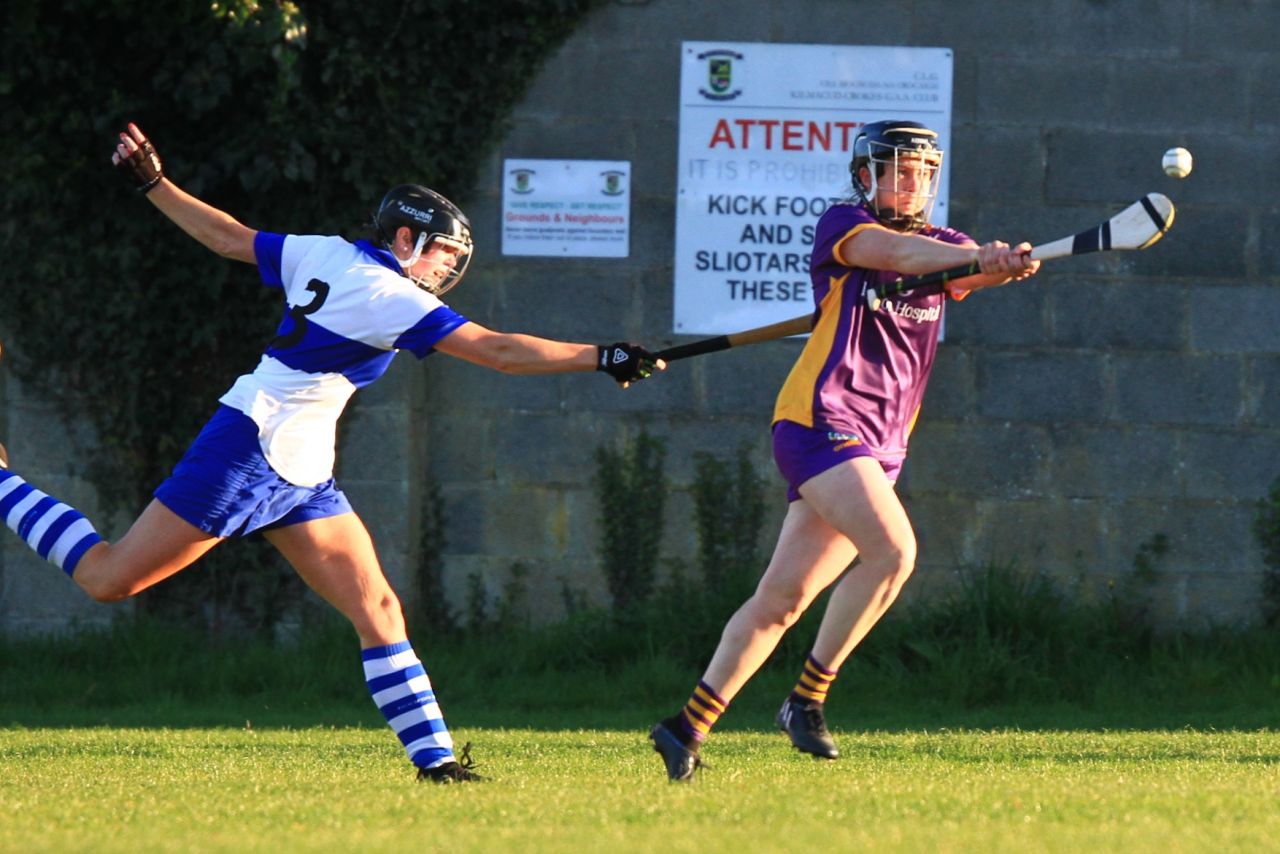 Senior Camogie Team vs St Vincents