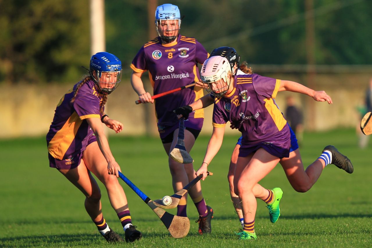 Senior Camogie Team vs St Vincents