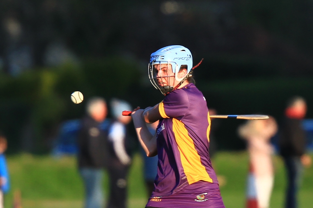 Senior Camogie Team vs St Vincents