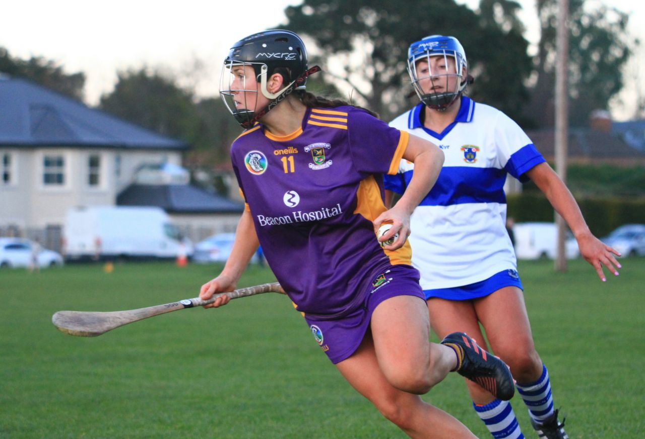 Senior Camogie Team vs St Vincents