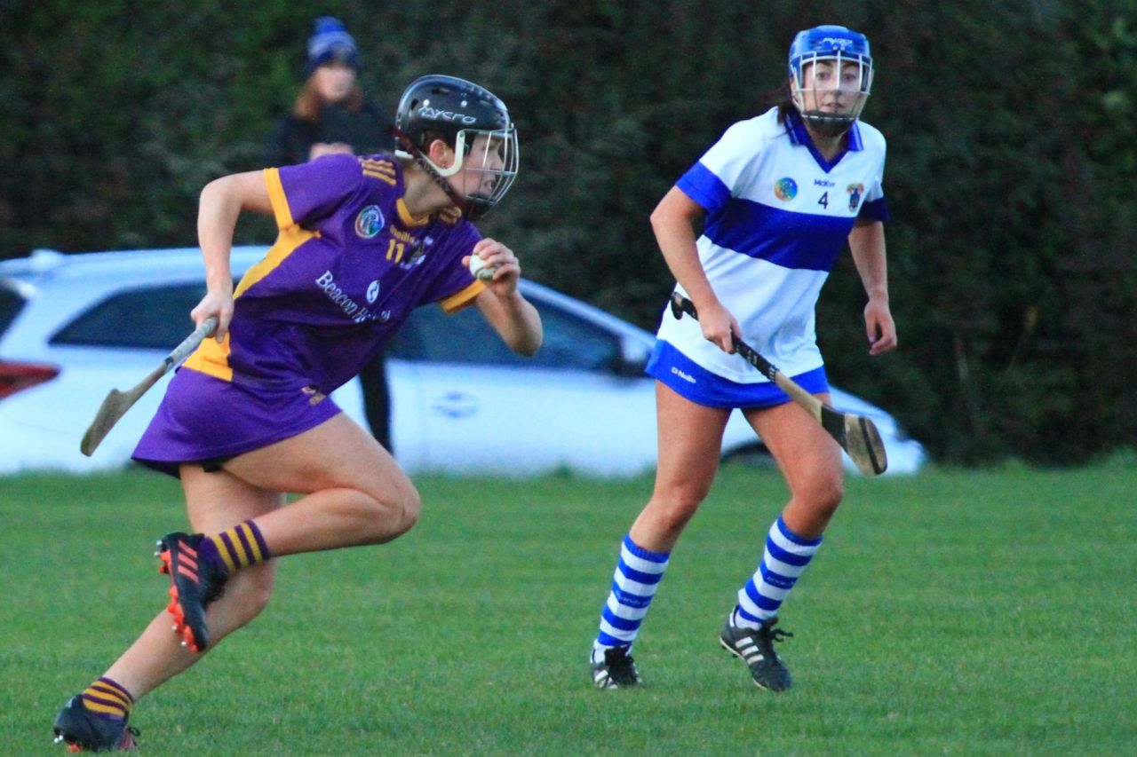 Senior Camogie Team vs St Vincents