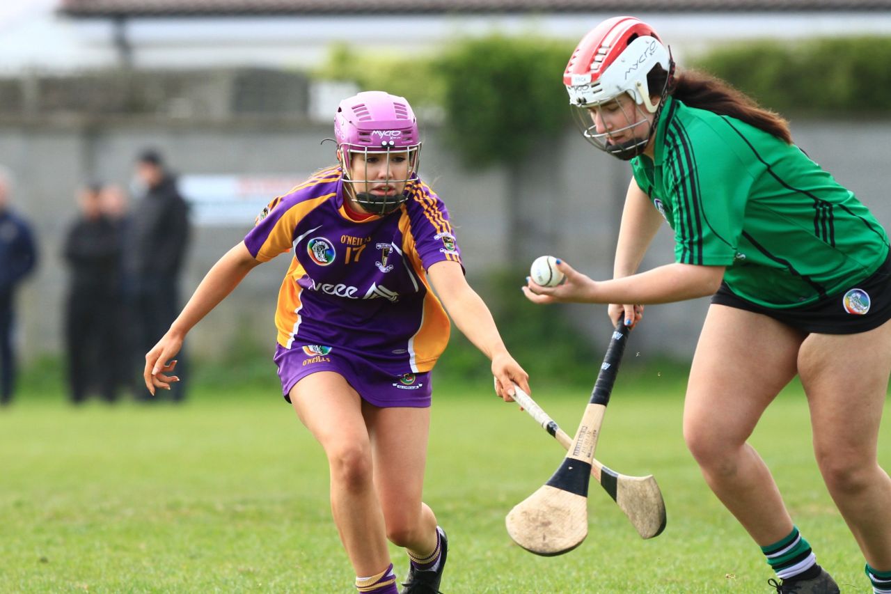 Camogie U18 Div 1 vs Lucan Sarsfields