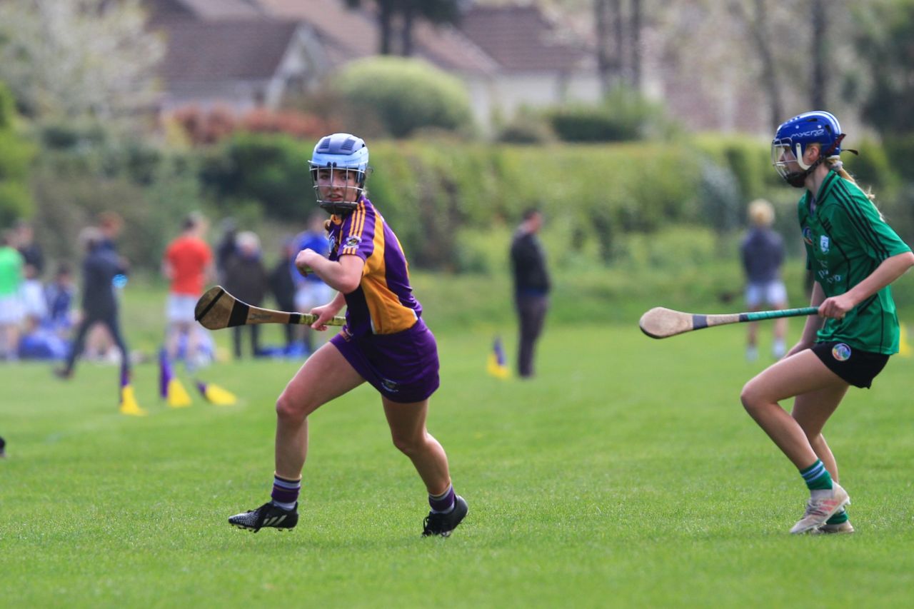 Camogie U18 Div 1 vs Lucan Sarsfields