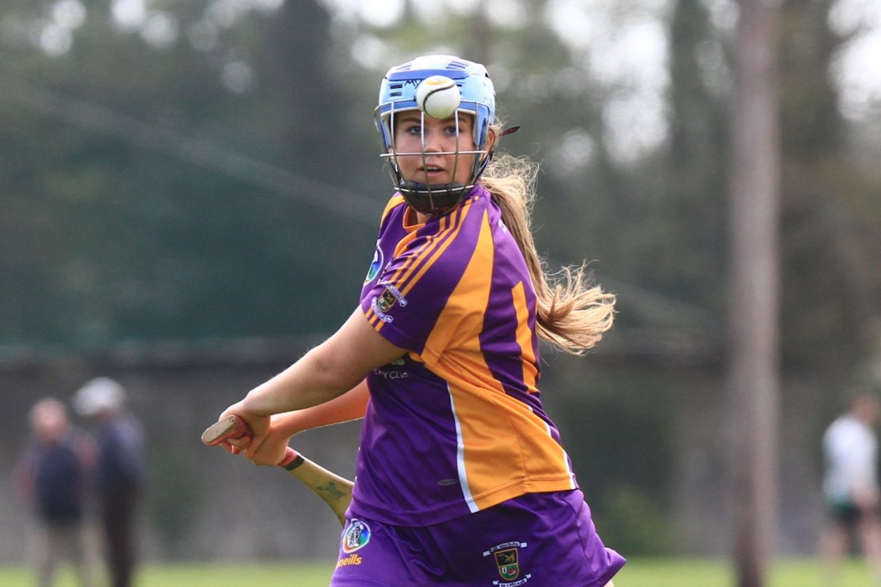 Camogie U18 Div 1 vs Lucan Sarsfields