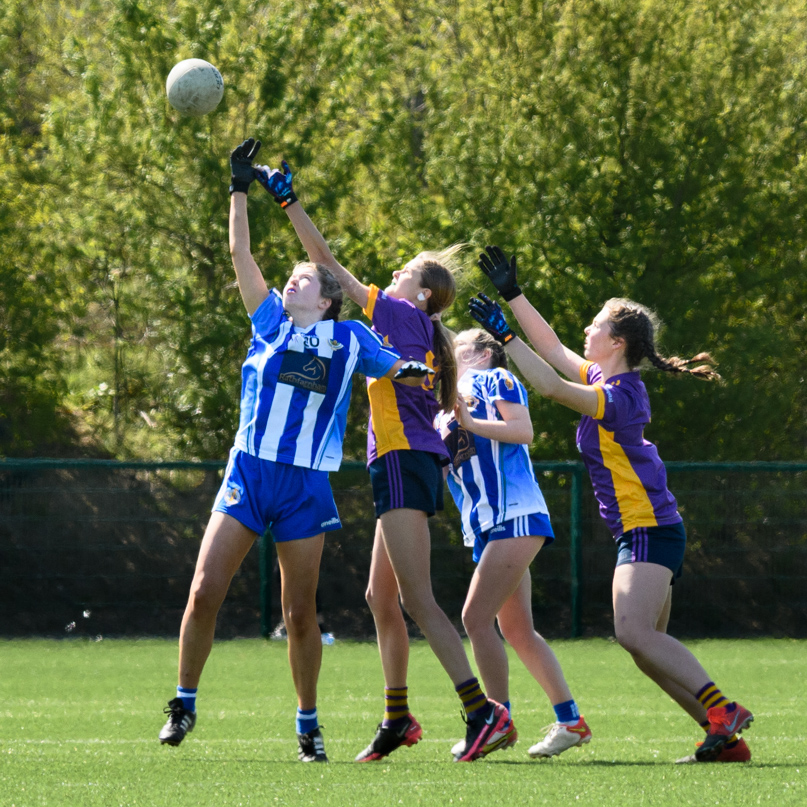 2007 Group (U15 - Div 1) Feile 2022 Winners - 24 April 2022