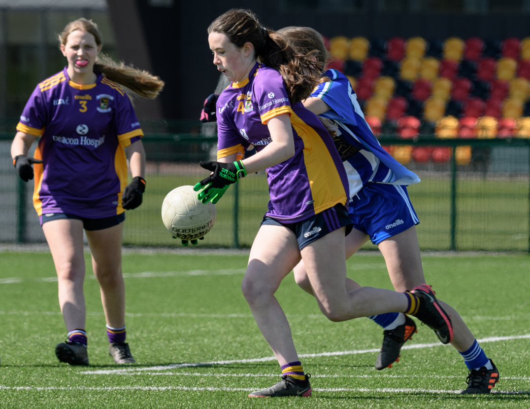 2007 Group (U15 - Div 1) Feile 2022 Winners - 24 April 2022