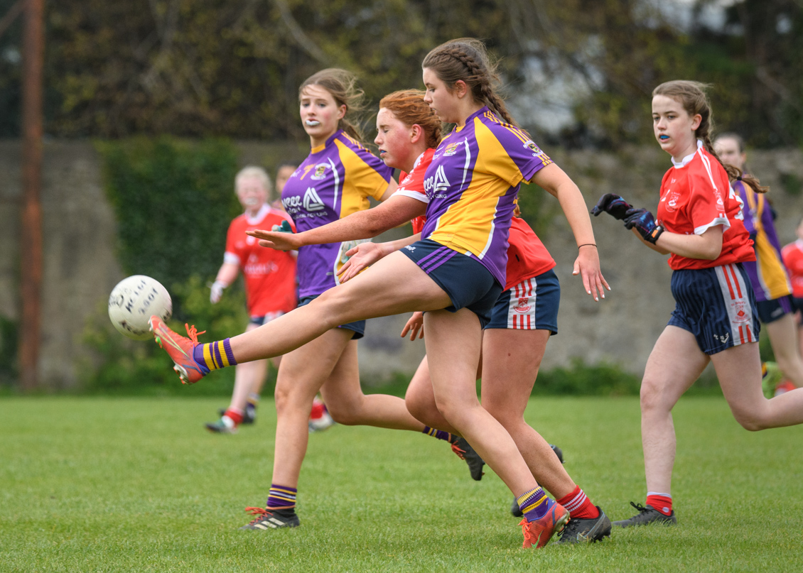 2007  Football Group U15 Feile Div 8 Winners