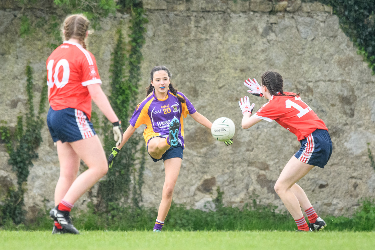 2007  Football Group U15 Feile Div 8 Winners