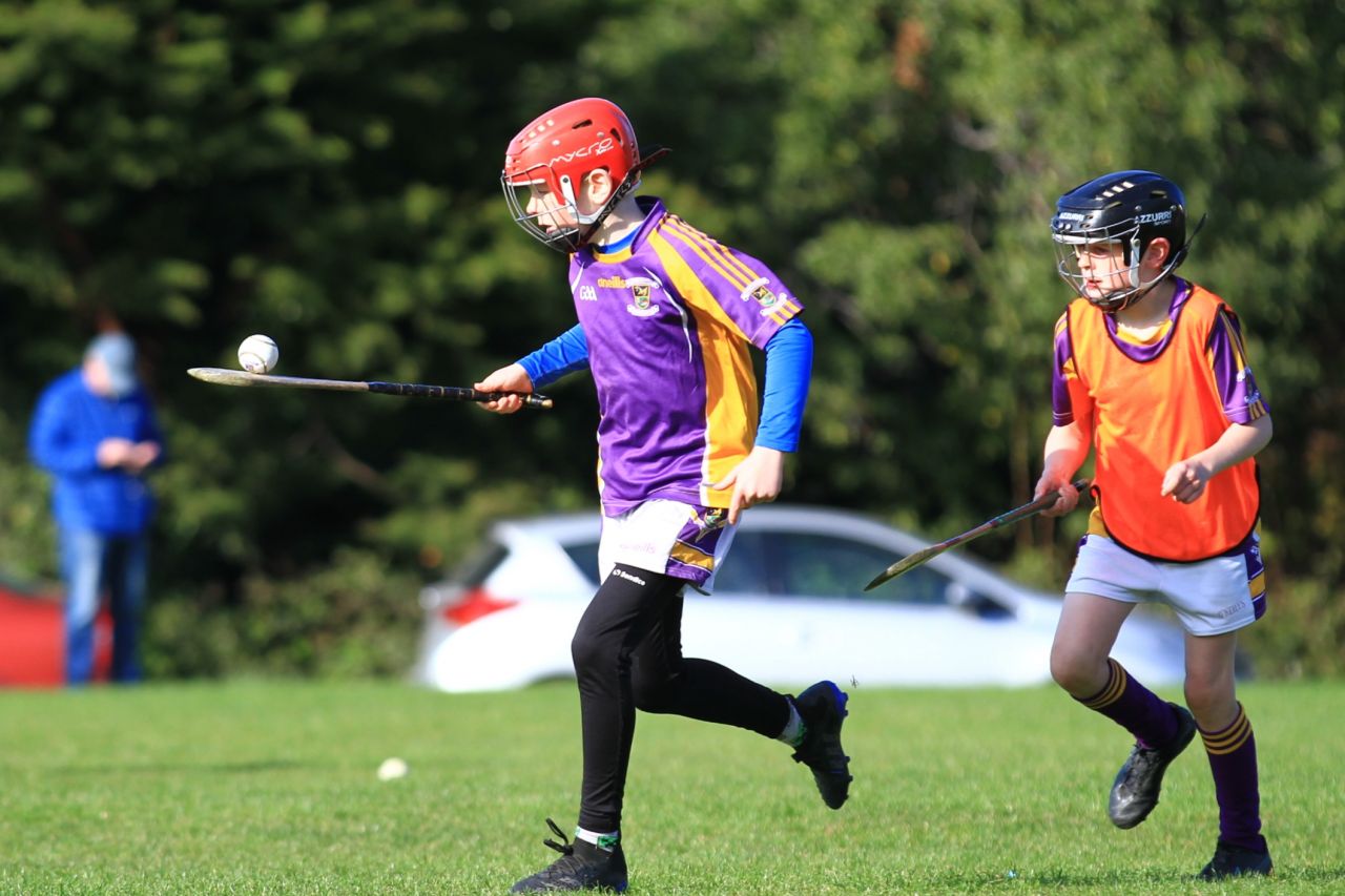 Half time games at Senior Hurling match