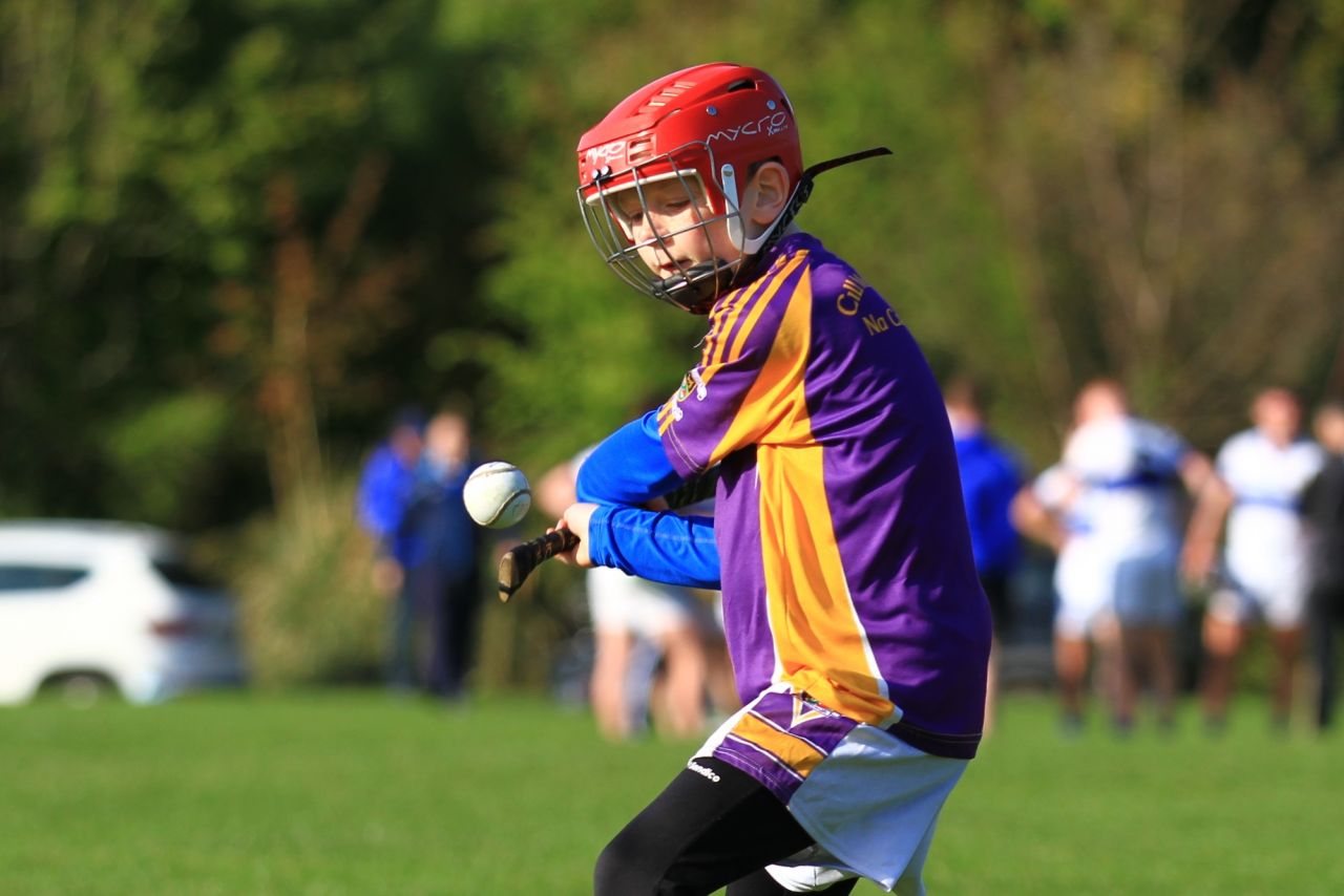 Half time games at Senior Hurling match