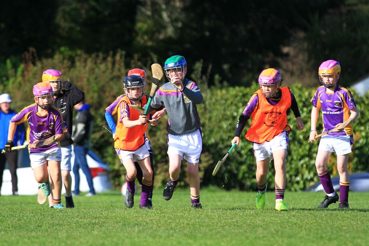 Half time games at Senior Hurling match