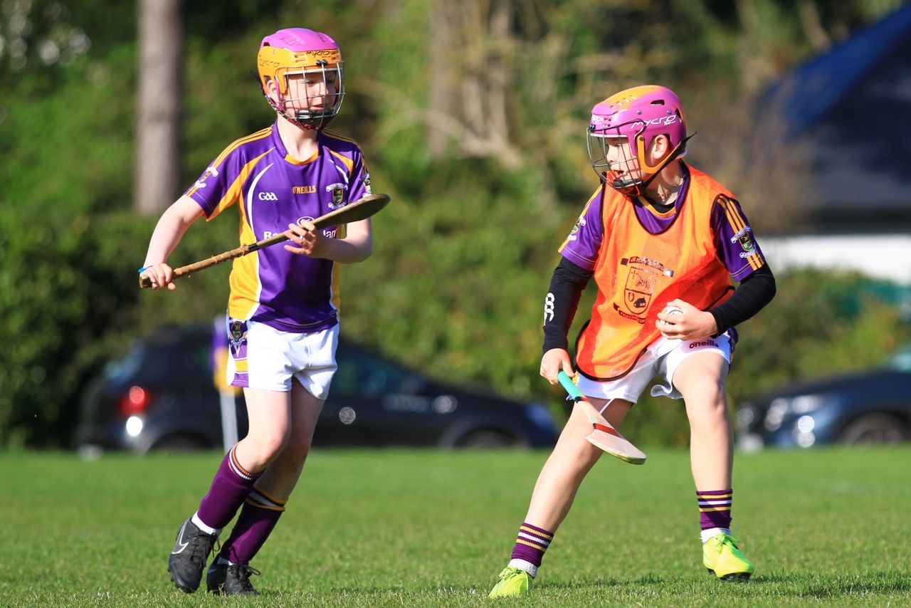 Half time games at Senior Hurling match