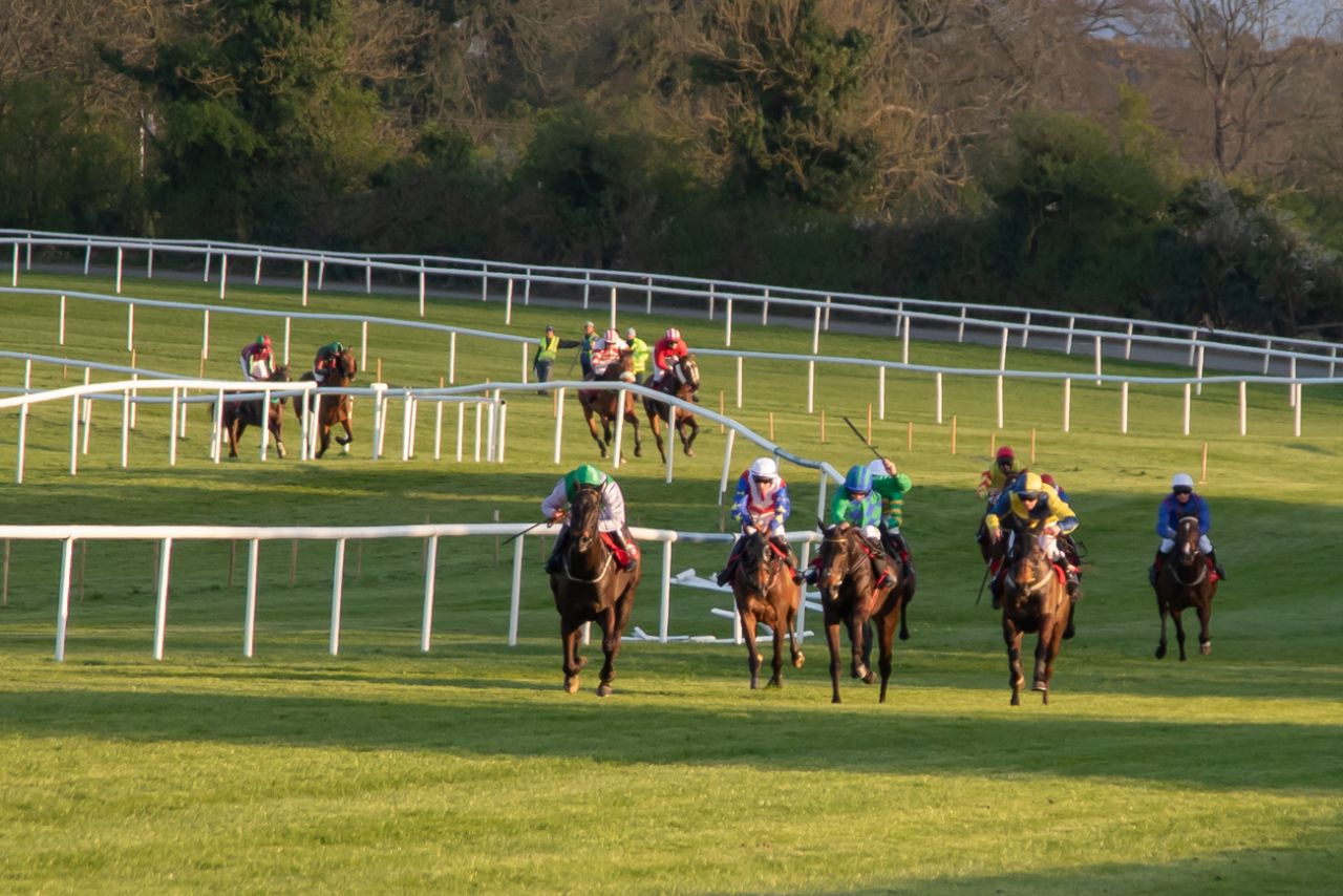 again! Hurling Section's Punchestown Raceday returns