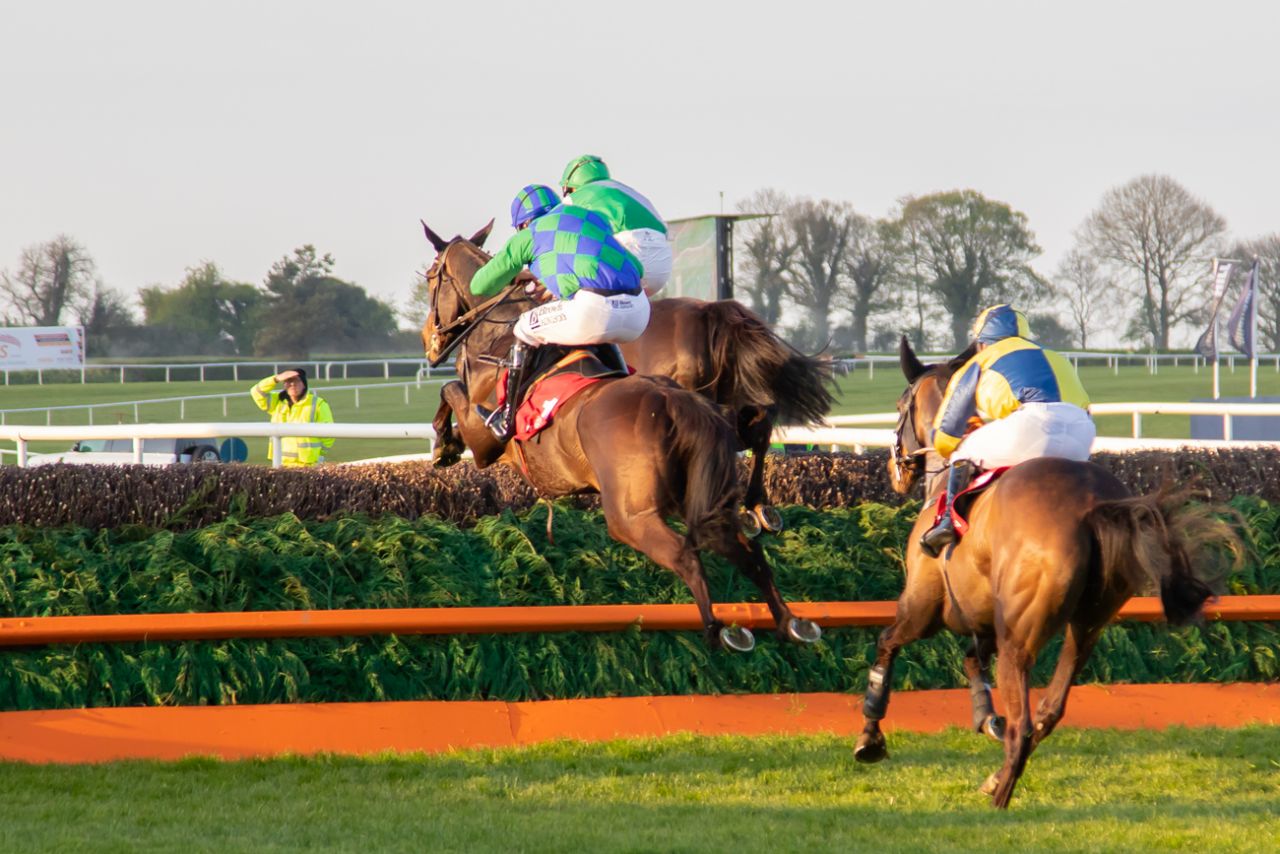 again! Hurling Section's Punchestown Raceday returns