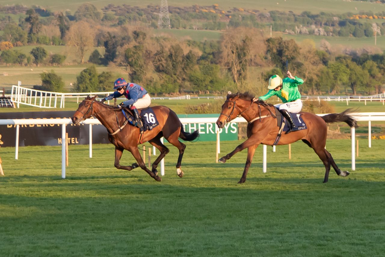 again! Hurling Section's Punchestown Raceday returns