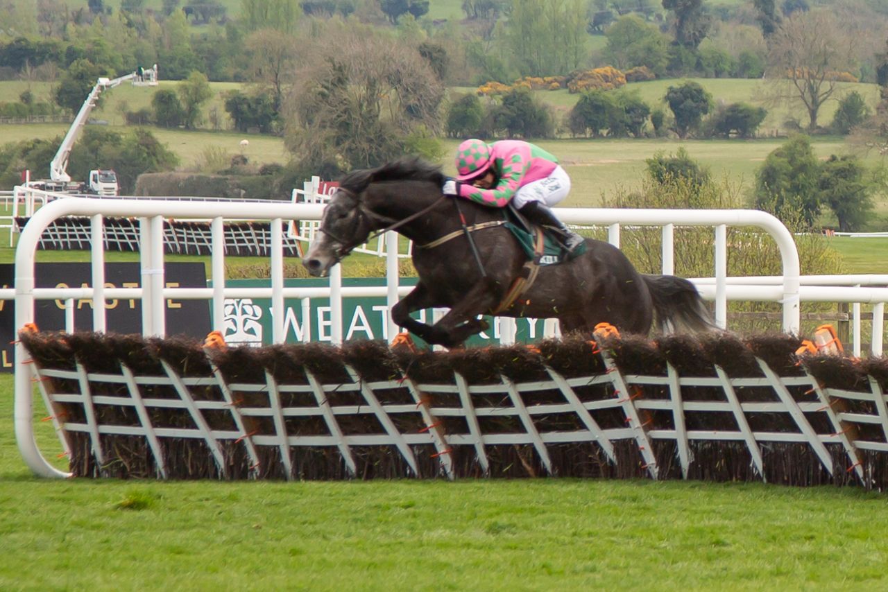 again! Hurling Section's Punchestown Raceday returns