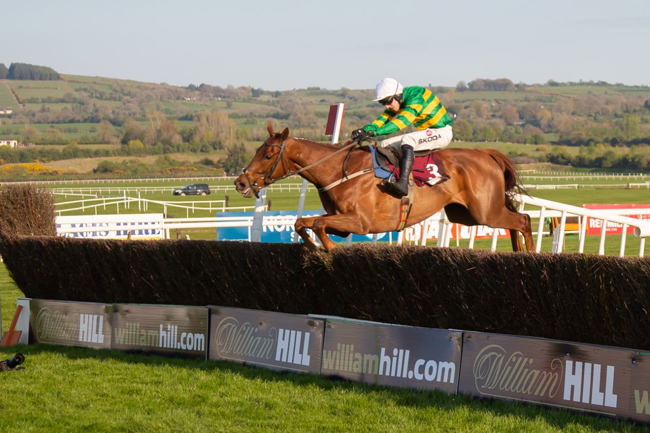 again! Hurling Section's Punchestown Raceday returns