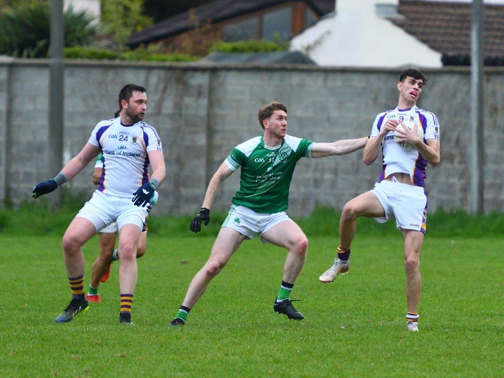 Go Ahead Adult Football League Division Six  Kilmacud Crokes V O'Dwyers