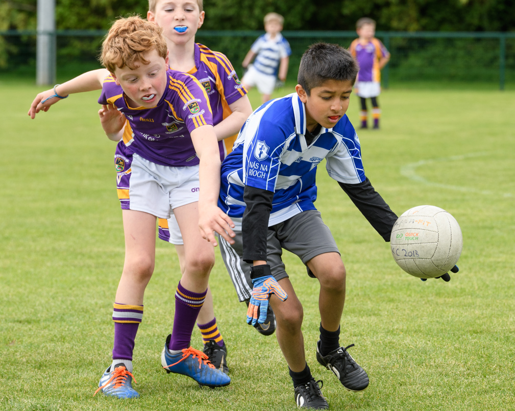 Kilmacud Crokes Under 9 Festival of Hurling Tournament in UCD Sunday May 22nd