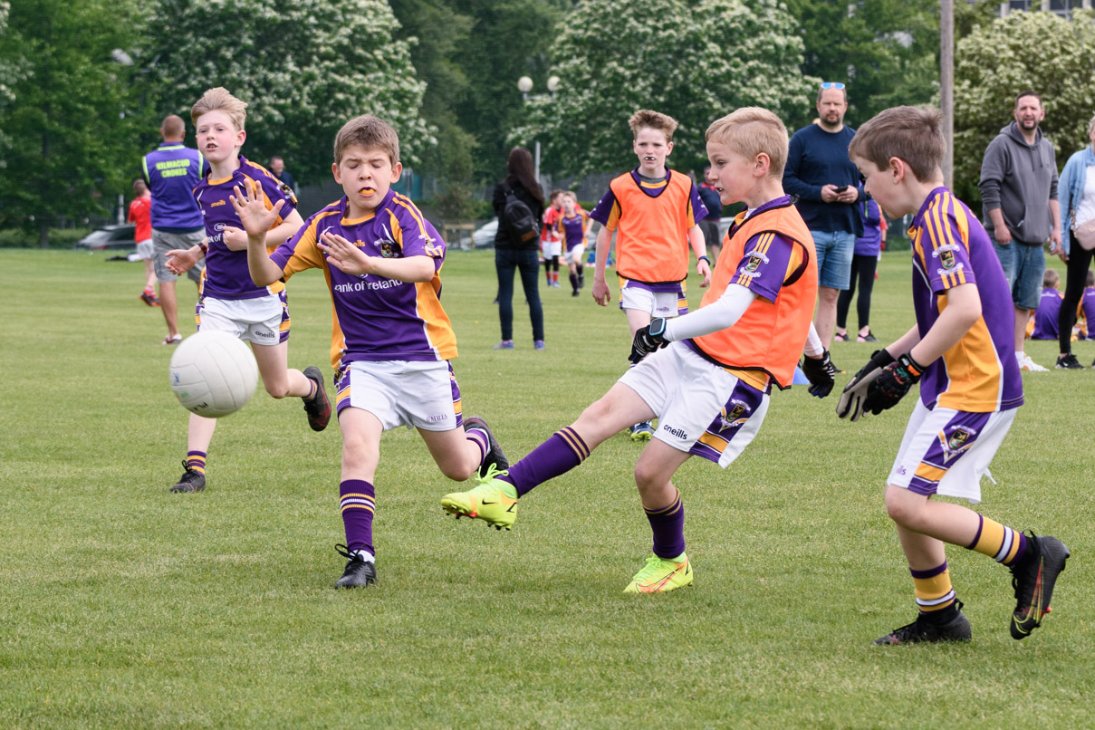 Kilmacud Crokes Under 9 Festival of Hurling Tournament in UCD Sunday May 22nd