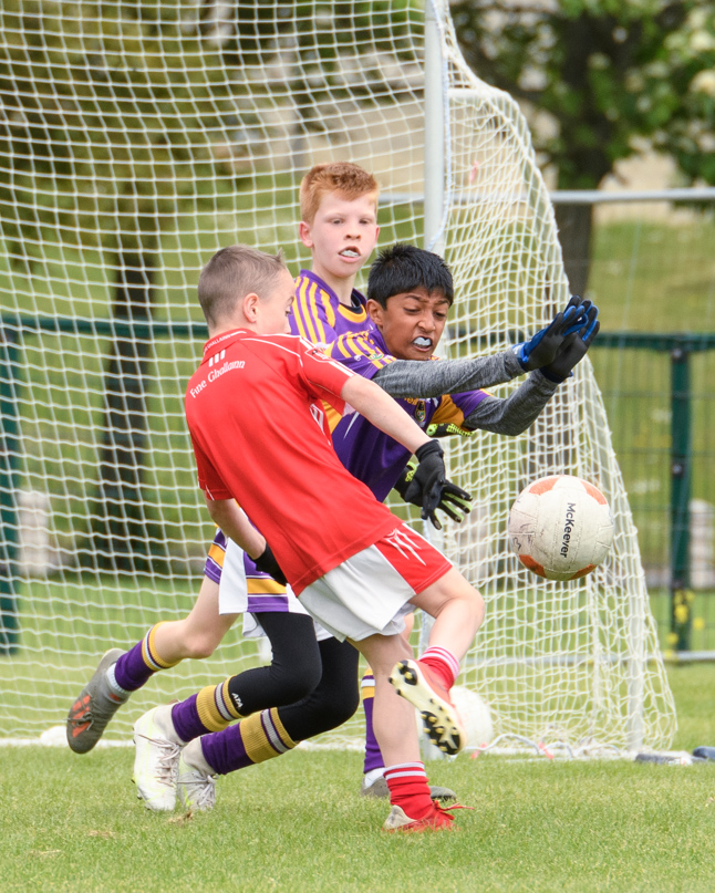 Kilmacud Crokes Under 9 Festival of Hurling Tournament in UCD Sunday May 22nd