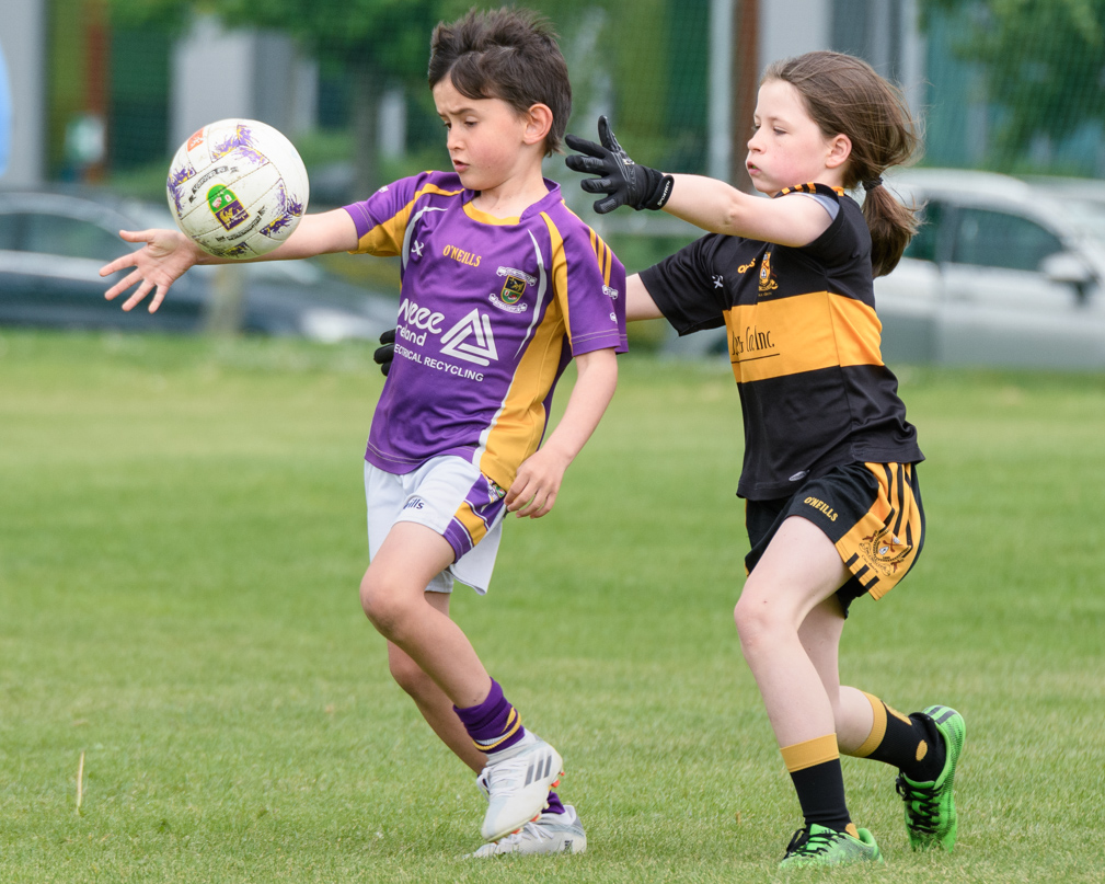 Kilmacud Crokes Under 9 Festival of Hurling Tournament in UCD Sunday May 22nd