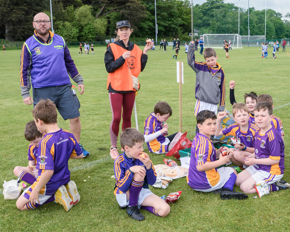 Kilmacud Crokes Under 9 Festival of Hurling Tournament in UCD Sunday May 22nd