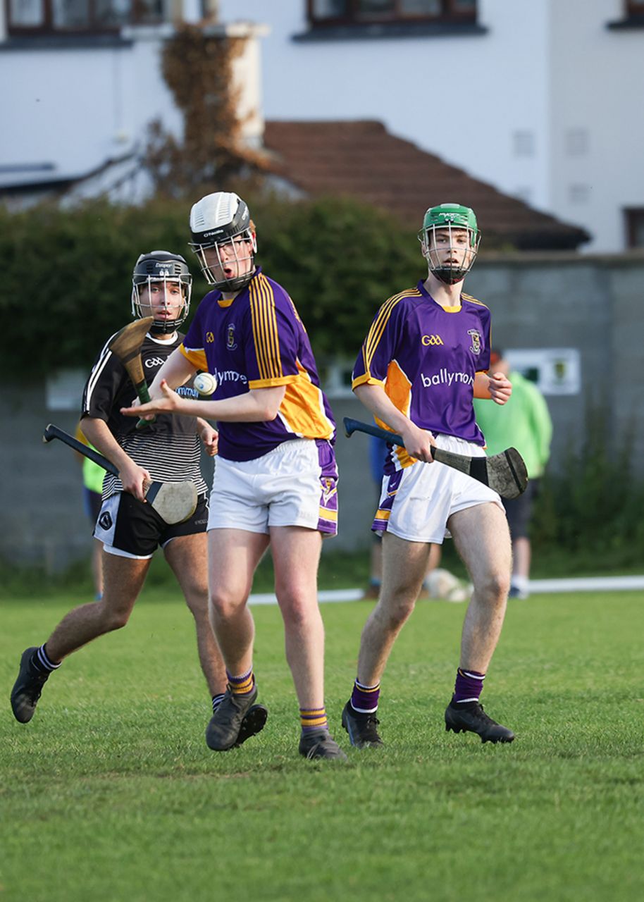 Under 17 Hurling League Division Four North   Kilmacud Crokes V  St.Peregrins