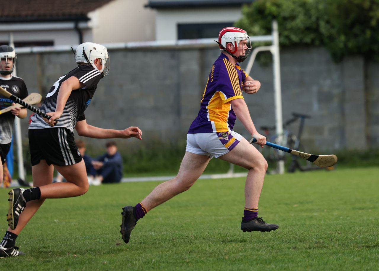 Under 17 Hurling League Division Four North   Kilmacud Crokes V  St.Peregrins