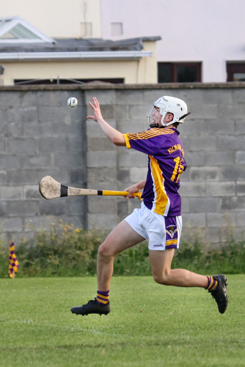 Under 17 Hurling League Division Four North   Kilmacud Crokes V  St.Peregrins