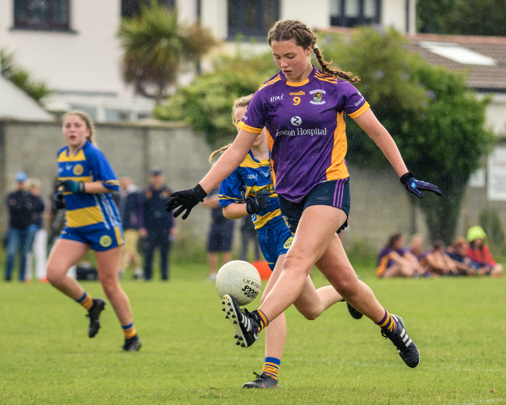 Division 1 Ladies Football Feile Finals Silverpark Saturday July 2nd