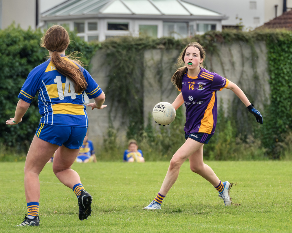 Division 1 Ladies Football Feile Finals Silverpark Saturday July 2nd