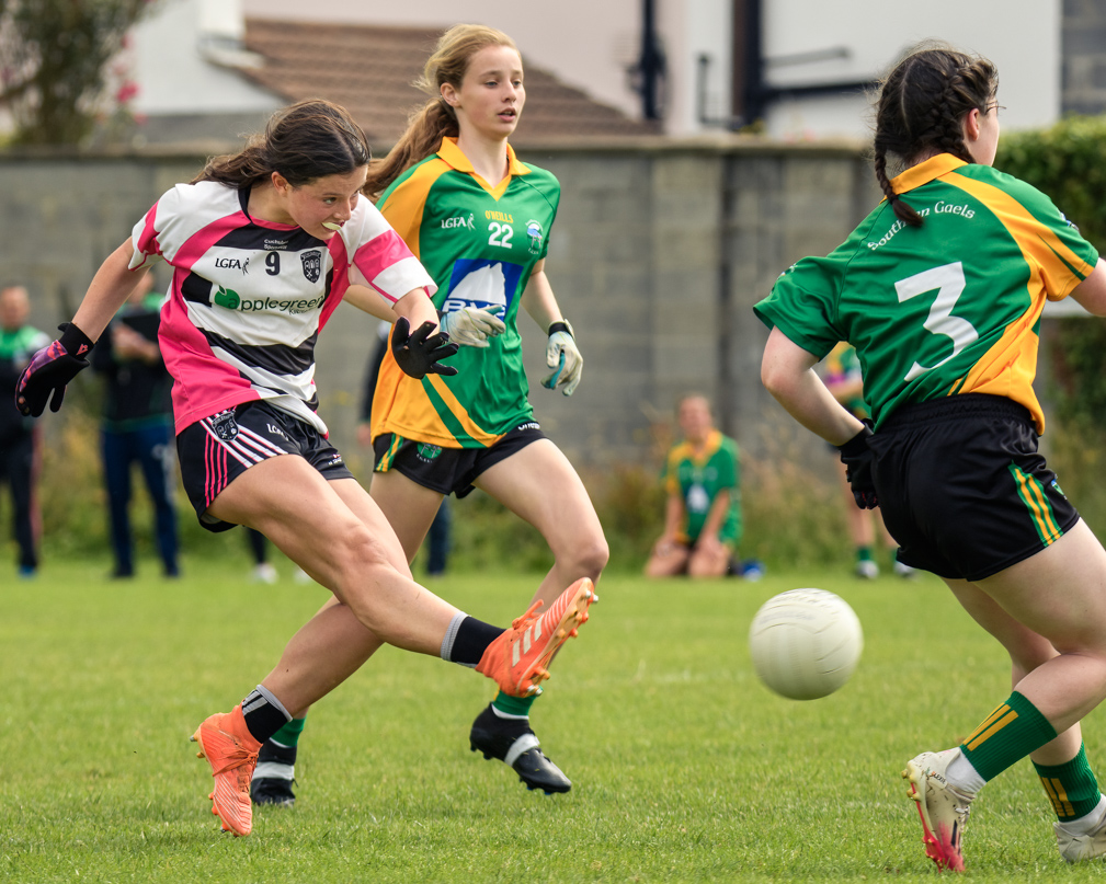 Division 1 Ladies Football Feile Finals Silverpark Saturday July 2nd