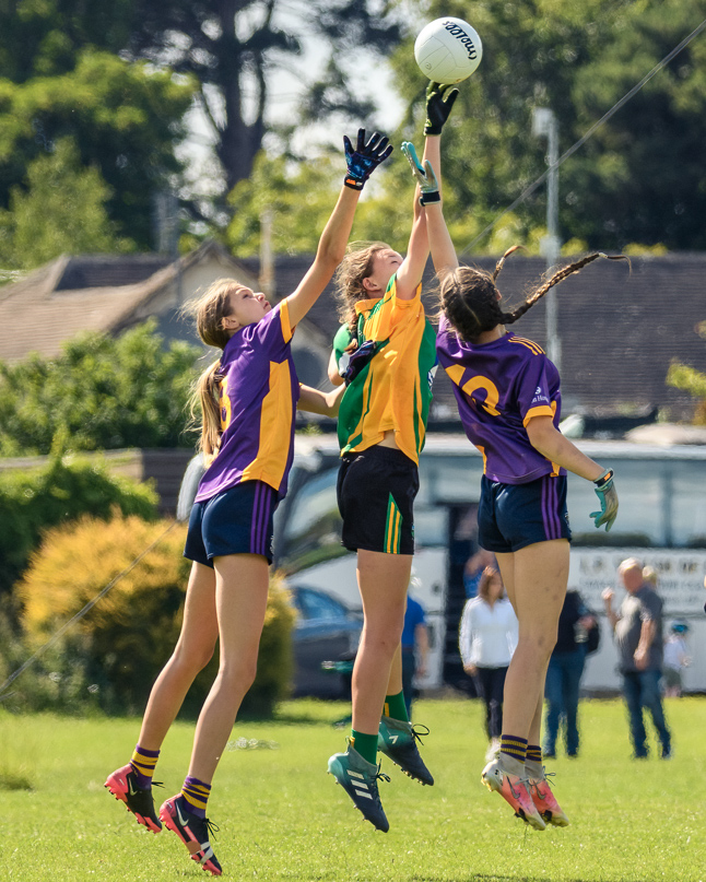 Division 1 Ladies Football Feile Finals Silverpark Saturday July 2nd